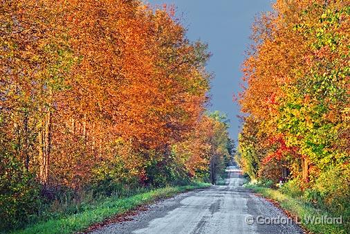 Autumn Back Road_17001-2.jpg - Photographed near Smiths Falls, Ontario, Canada.